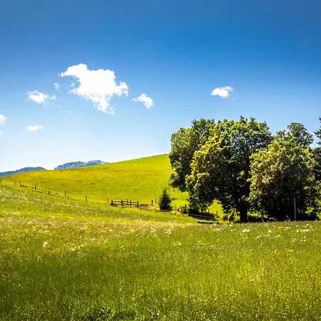 팜스테이 Stillinghof