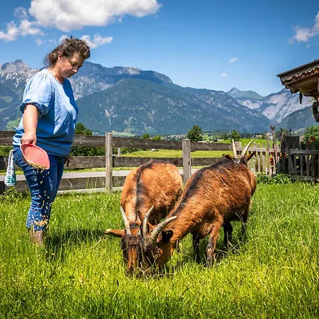 Stillinghof Saalfelden