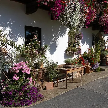 Stillinghof 팜스테이