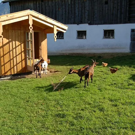 Stillinghof Farm stay